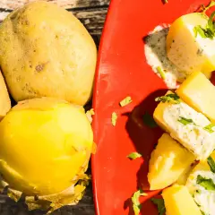 Patate fresche e un'appetitosa insalata di patate condita con erbe aromatiche su un piatto rosso.