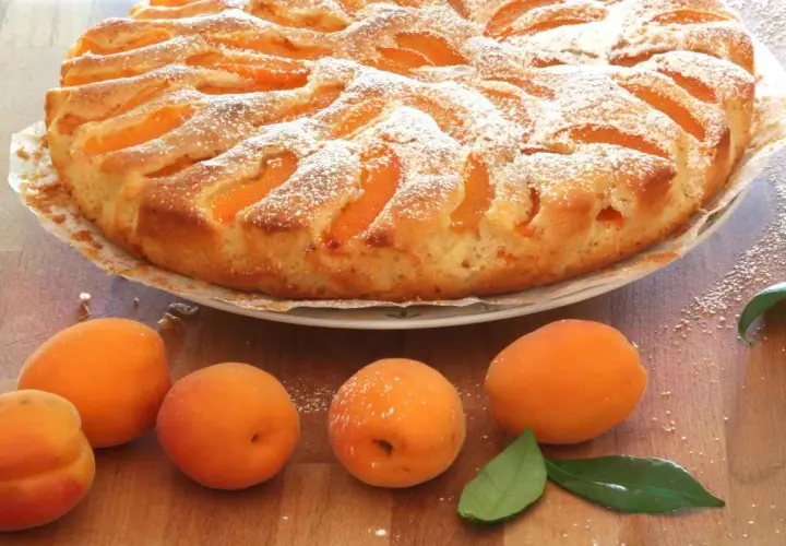 Deliziosa torta di albicocche cosparsa di zucchero a velo, con albicocche fresche sul tavolo.
