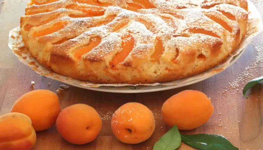 Deliziosa torta di albicocche cosparsa di zucchero a velo, con albicocche fresche sul tavolo.
