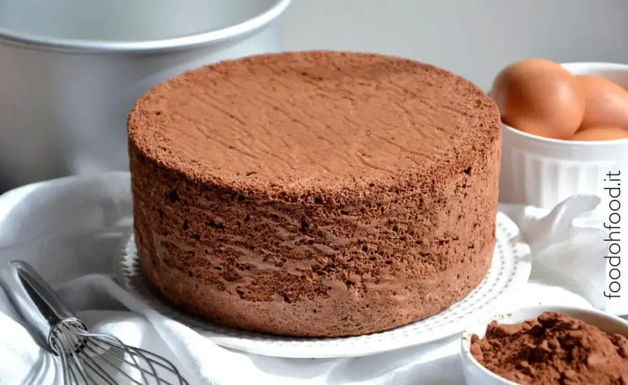 Pan di Spagna al cacao alto e soffice, senza lievito