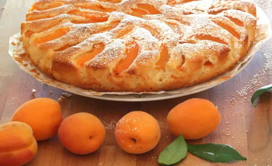 Torta di albicocche soffice, il segreto per cuocerla bene