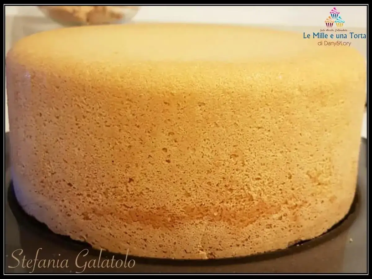 Un soffice pan di spagna senza glutine, perfetto per ogni dolce creazione. La sua consistenza ariosa &egrave; ideale per torte e semifreddi.